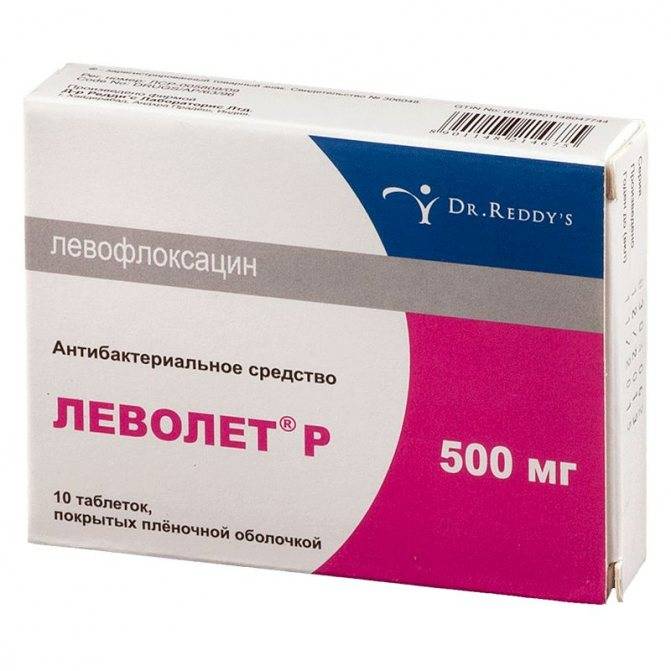 Описание цитробактера и опасность бактерии для здоровья человека