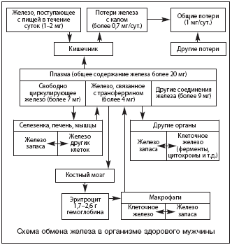 Понятие о этиологии, патогенезе, клинической картине болезни