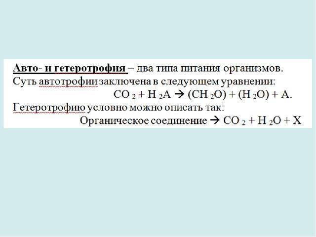 Прокариоты и эукариоты — что это и в чем их отличия
