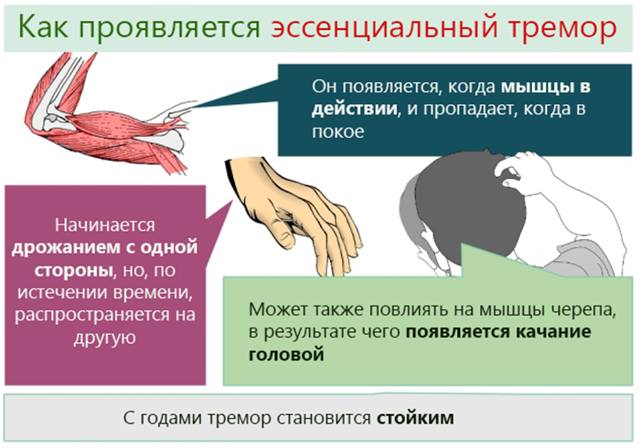Тадасип: отзывы мужчин, показания и аналоги препарата