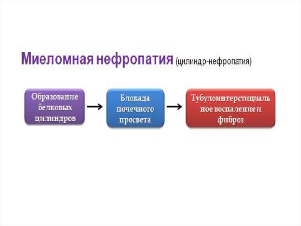 Миелома - что это такое, причины, симптомы, диагностика, лечение, диета, прогноз