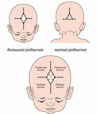 Почему пульсирует родничок