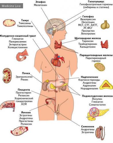 Гормоны: признаки нехватки и избытка