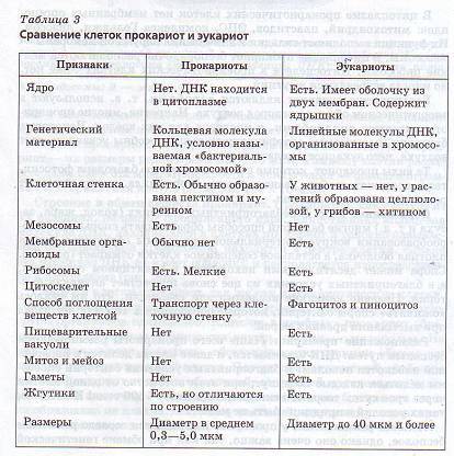 Царство бактерии общая характеристика, кто открыл бактерии, названия и примеры бактерий, чем питаются, как размножаются, запасное вещество бактерий, признаки симбиотических бактерий