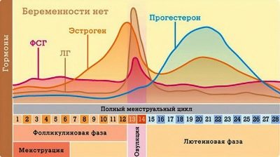 Пмс или беременность: отличия до задержки на ранних сроках