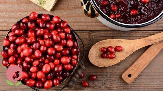 Как лечить кашель брусникой и клюквой
