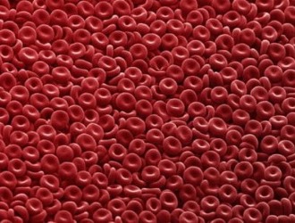 Подофиллотоксин (podophyllotoxin)