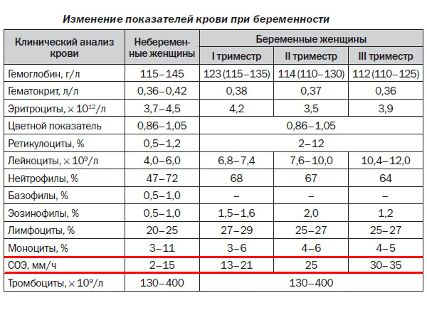 Скорость оседания эритроцитов повышена — что это значит и насколько опасно