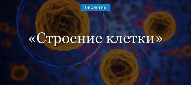 Читать книгу биология. общая биология. профильный уровень. 10 класс н. и. сонина : онлайн чтение - страница 8