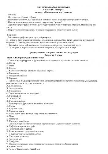 Нервная система - что это такое? какие функции у нервной системы?
