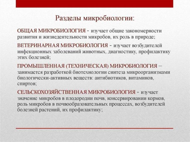 Роль бактерий в изготовлении кисломолочных продуктов