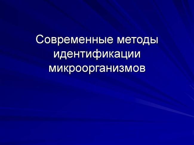 Нарисуем невидимое, или методы окраски микроорганизмов