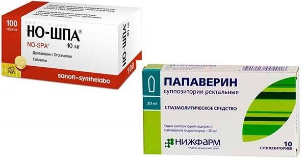 Вредные бактерии в кишечнике человека. вредные микроорганизмы