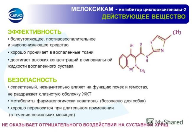 Уколы мелоксикам: показания и противопоказания, побочные эффекты, способ введения
