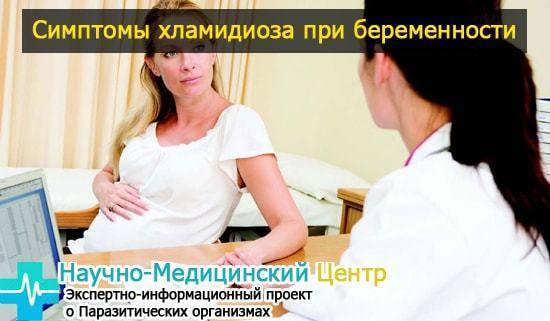 Причины, симптомы и лечение хламидийной пневмонии у взрослых