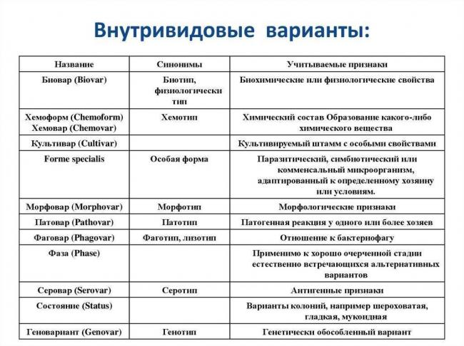 Какого цвета бактерии?