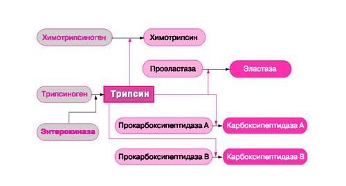 Таблетки Kusum Healthcare Серрата