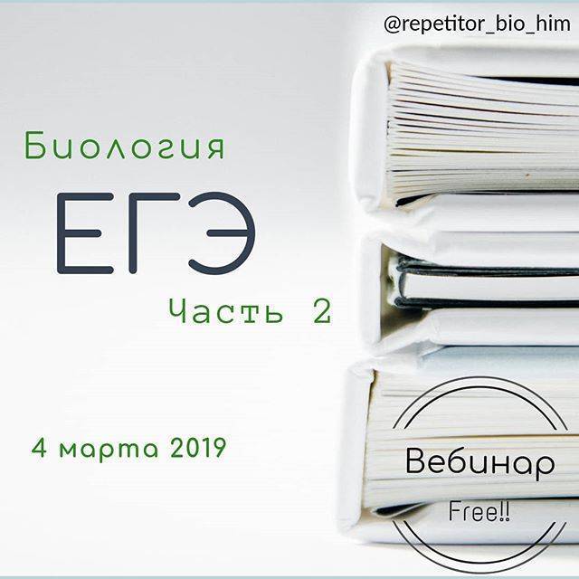 Царство бактерии — общая характеристика