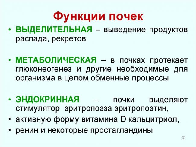 Белок в моче из-за давления