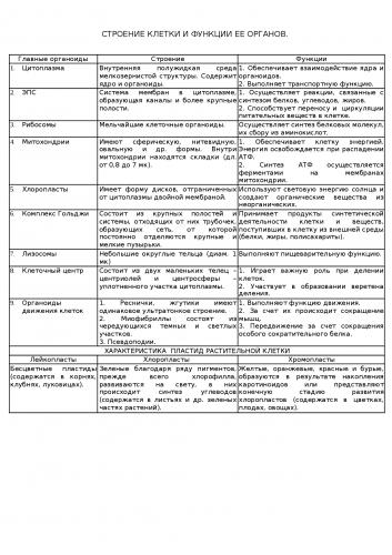 Клетка
