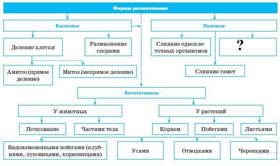 Биология в лицее