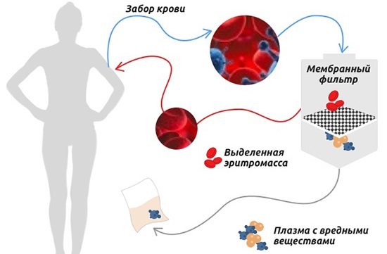 Чистка печени в домашних условиях народными средствами