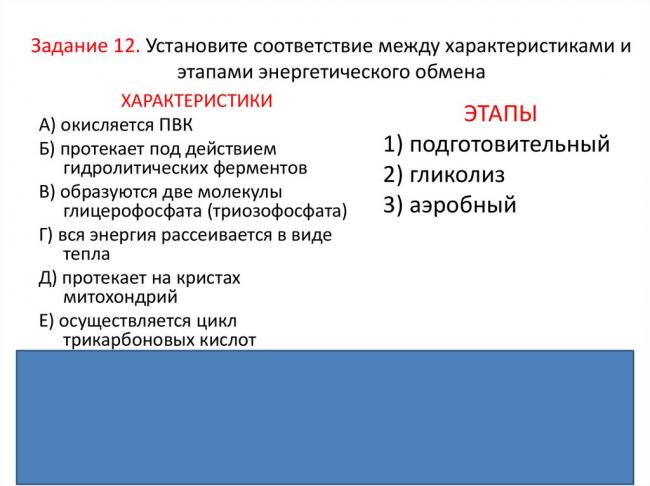 Метаболи́зм полный процесс превращения химических веществ в организме, обеспечивающих его рост, развитие, деятельность и жизнь в целом. словарь. - презентация