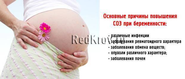 Гайморит при беременности на ранних, поздних сроках. симптомы и лечение в домашних условиях