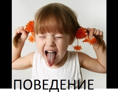 Тестирование