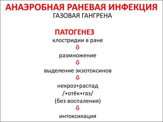 Цитробактер: описание бактерий, симптомы и лечение заболеваний