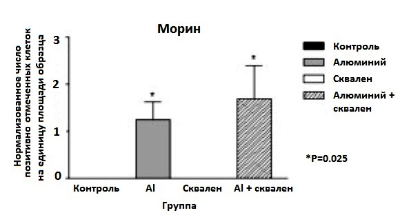 Полимерный адъювант - антиген-носитель для вакцин