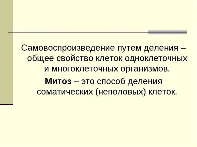 Как размножаются микробы