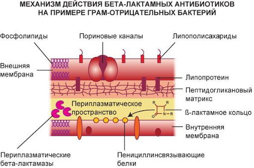 Супракс солютаб (suprax solutab)