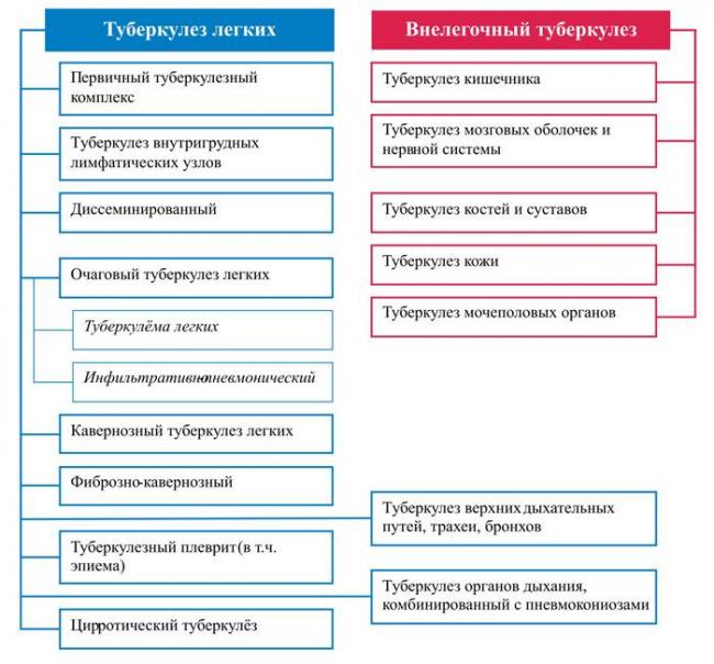 Закрытая и открытая форма туберкулеза легких и других органов. много фото