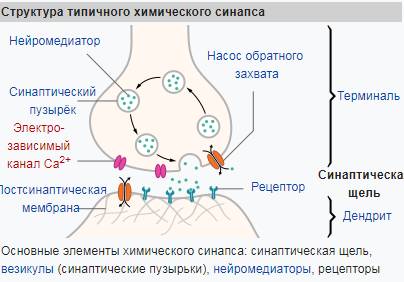Гипоксия плода: чем опасно кислородное голодание и как с ним справиться?