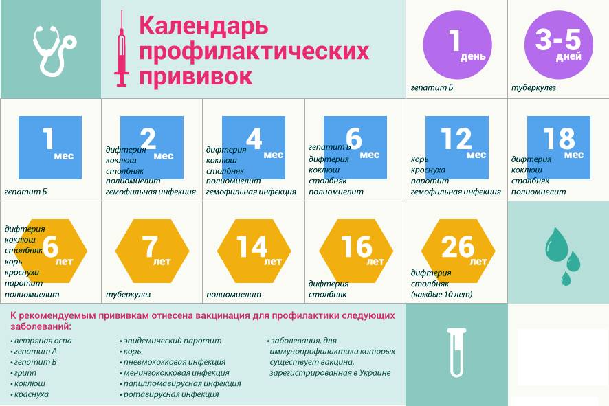 Прививка от дифтерии: график вакцинации для детей и взрослых, противопоказания и осложнения