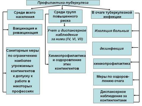 Профилактика туберкулеза при контакте с больным