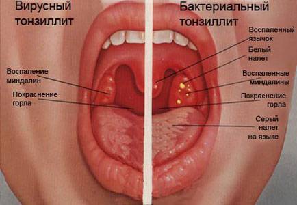 Свечи облепиховые инструкция по применению цена