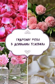 Шведская горечь от паразитов: инструкция по применению, отзывы, цена