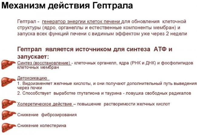Адеметионин (ademetionin)