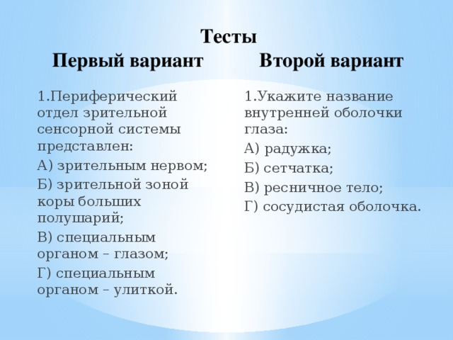 Центральная нервная система. нервная система объединяет организм человека единое целое, регулирует и координирует функции всех органов и систем