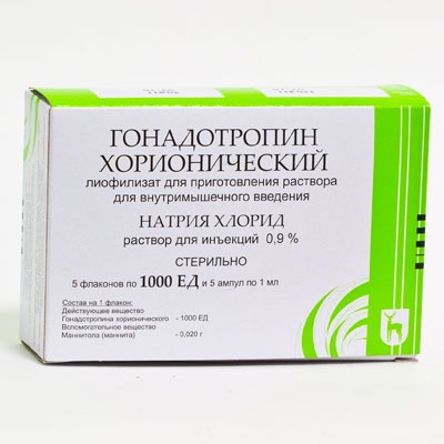 Хорионический гонадотропин!!!: популярные вопросы беременных мам и ответы на них