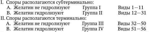 Клостридии и клостридиозы