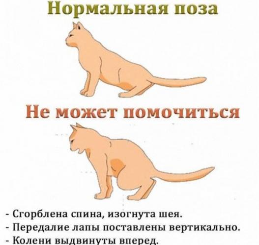 Нитрофураны