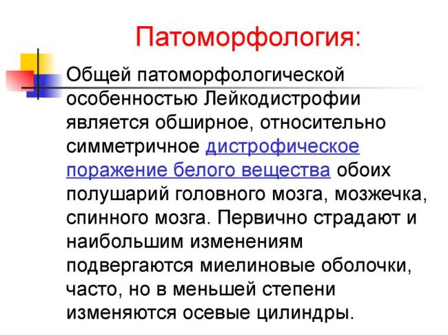 Международный неврологический журнал 4(4) 2005