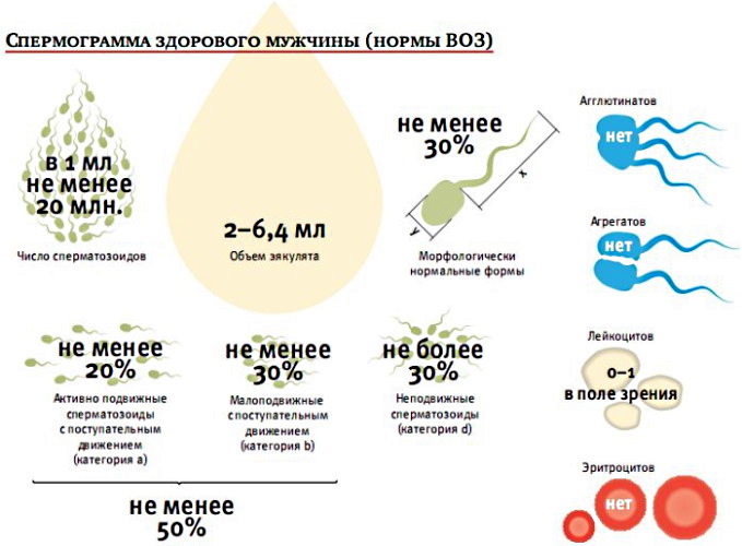 Отзывы о препарате прегнотон