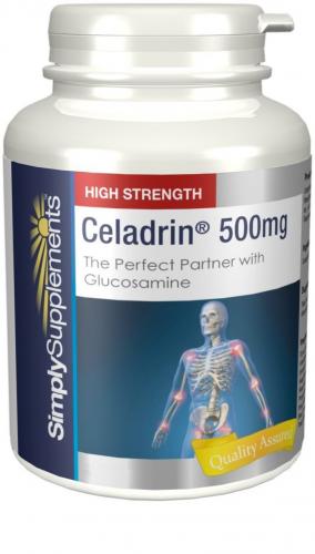 Целадрин (celadrin) — новая добавка для здоровья суставов: свойства и назначение