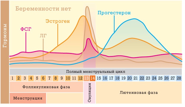 Самые эффективные народные средства для восстановления цикла