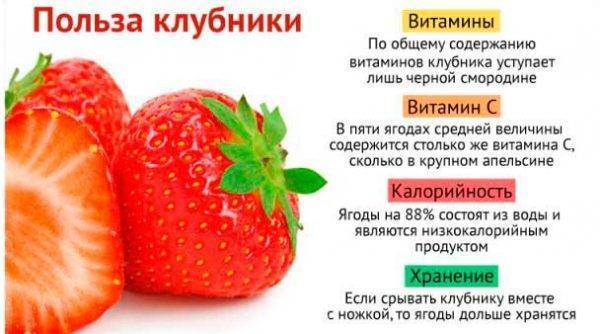 Аллергия на клубнику у ребёнка и взрослого: симптомы, фото, лечение и профилактика аллергической реакции