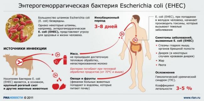 Кишечная палочка 10 в 3 степени в моче